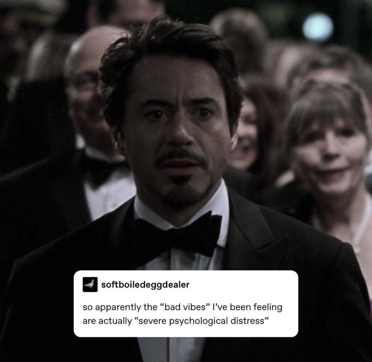 tony stan (derogatory) (@starkwasps) on Twitter photo 