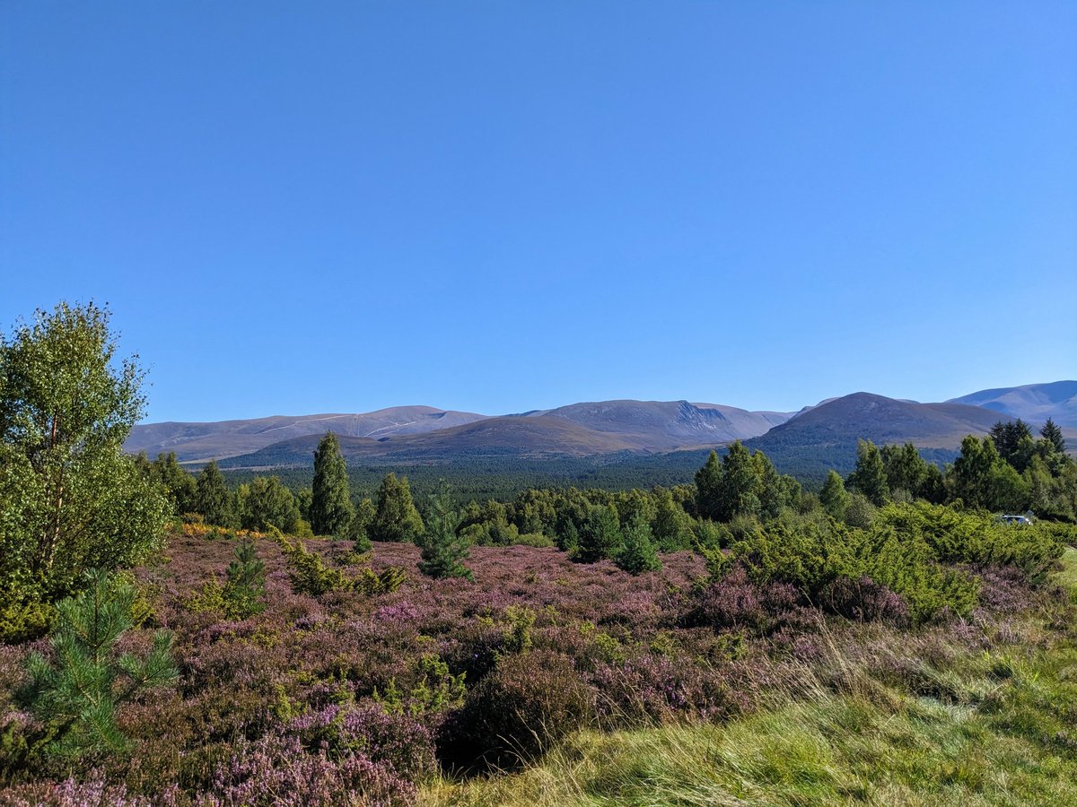 Al_Dargie's tweet photo. Decided to have quality time with Jura instead of updating LinkedIn today, getting my priorities right. Plenty of time for the duller tasks in life! 😊 https://t.co/WI4smfbzxb