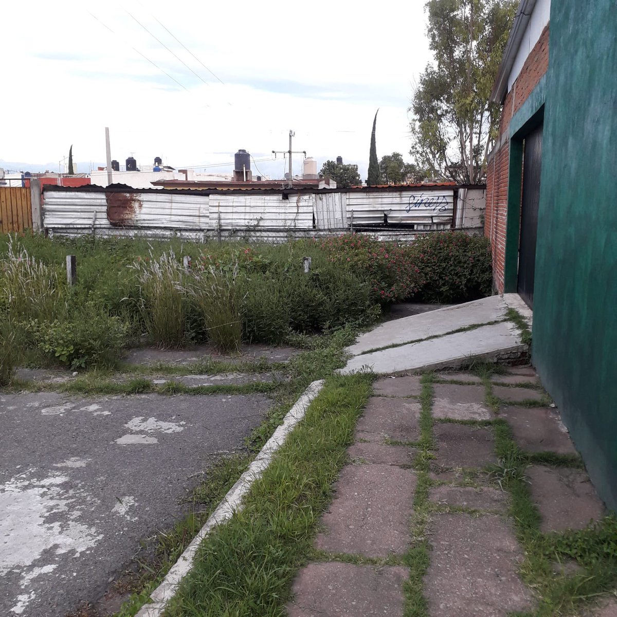 SAN JOSÉ MAYORAZGO (@SJMayorazgo) / Posts / X