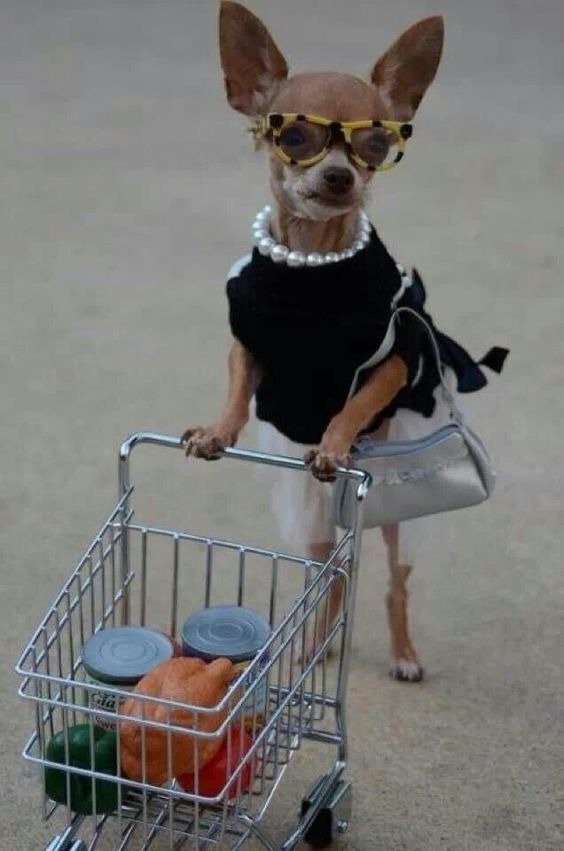 MODO_Arg's tweet photo. Cuando pagás con MODO y sabés que las promos se acumulan con las de tu banco:
Si todavía no tenés MODO descargala ahora desde tu store y empezá a disfrutar de todos los beneficios: https://t.co/jgt7b2p1iX
#MejorConMODO #MODOlaBilleteraDeLosDescuentos #AhorráConMODO https://t.co/R3icIYf9bs