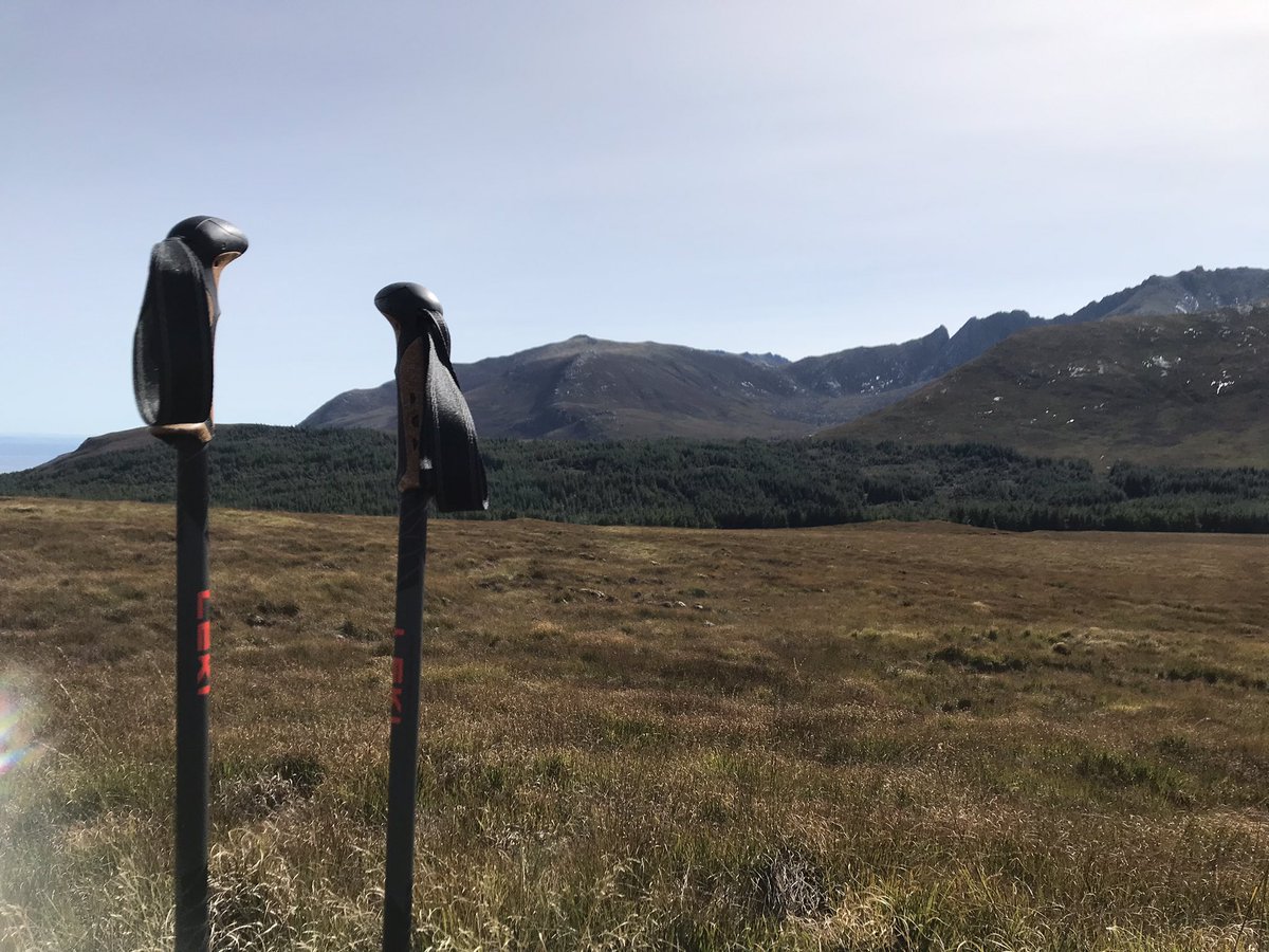 Paul Hogg tweet media