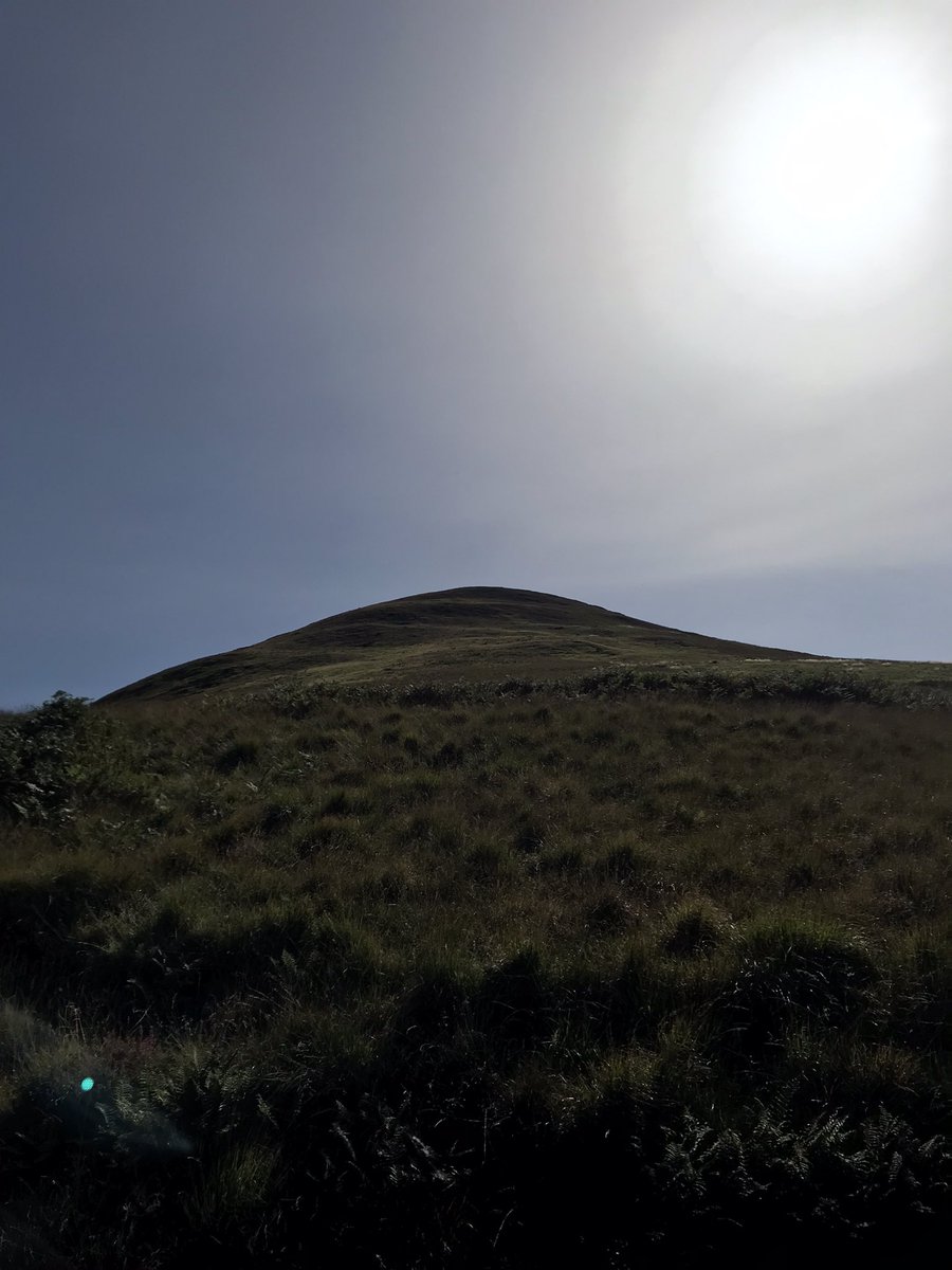 Paul Hogg tweet media