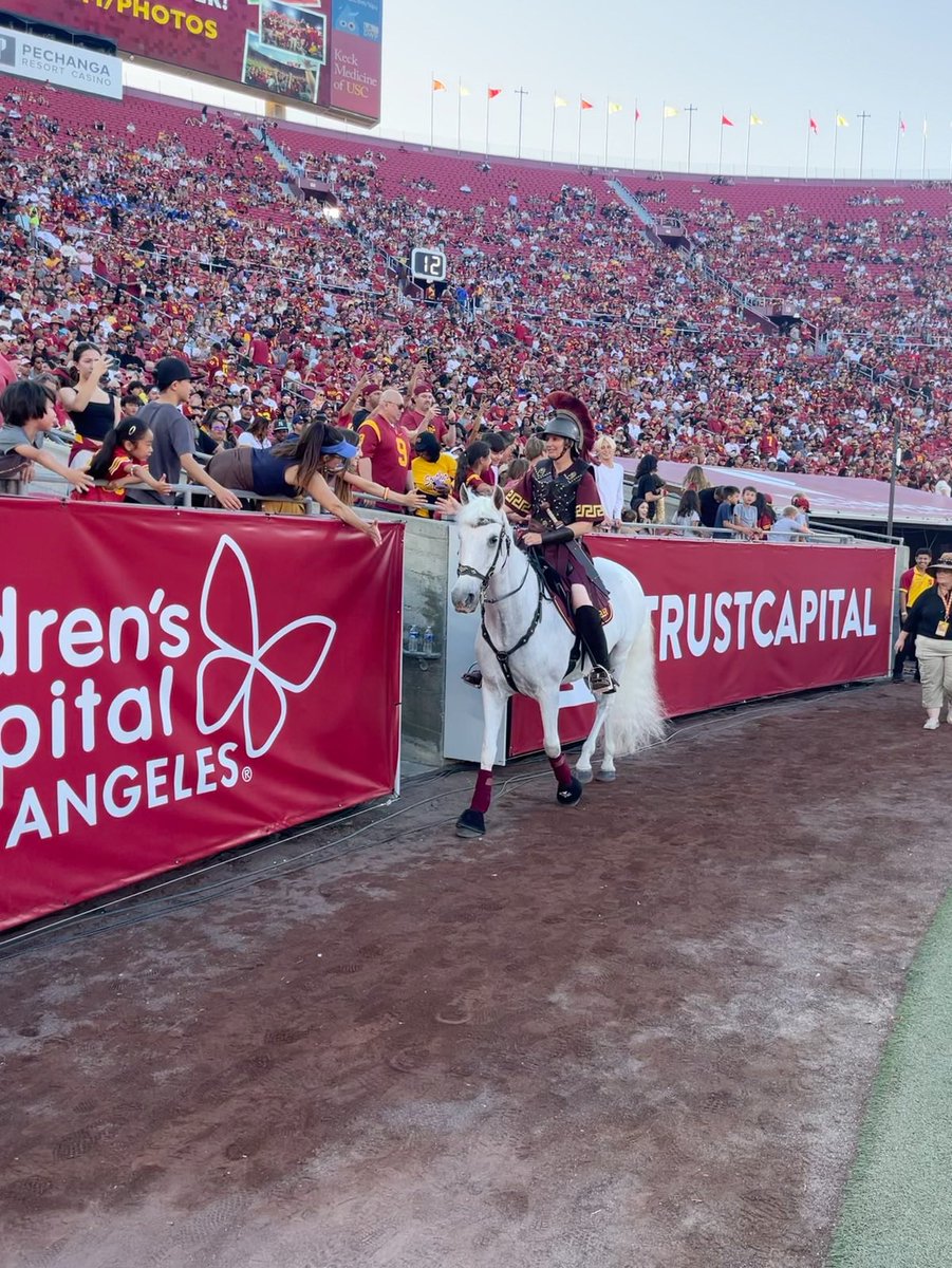 USCMascot's tweet photo. Traveler has definitely got their exercise in over the past two games! We are ready to conquer the PAC-12 now ✌🏼.Head to our website https://t.co/Nwz2X5eryA to get your Traveler merch! ❤️💛 https://t.co/FVSfU97GiZ