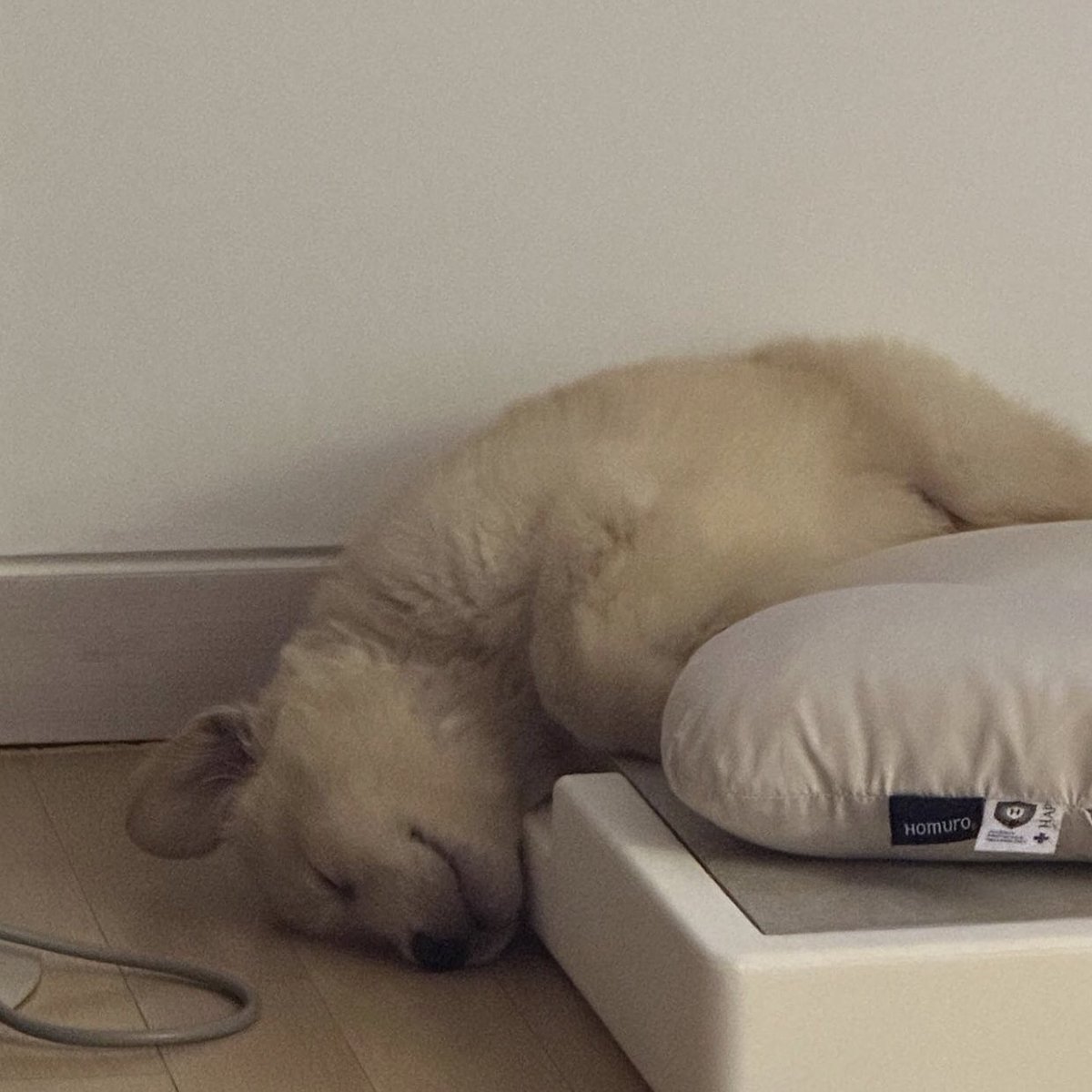 ถ้าเทอไม่อยากคุยกัน งั้นนอนก้ดัย