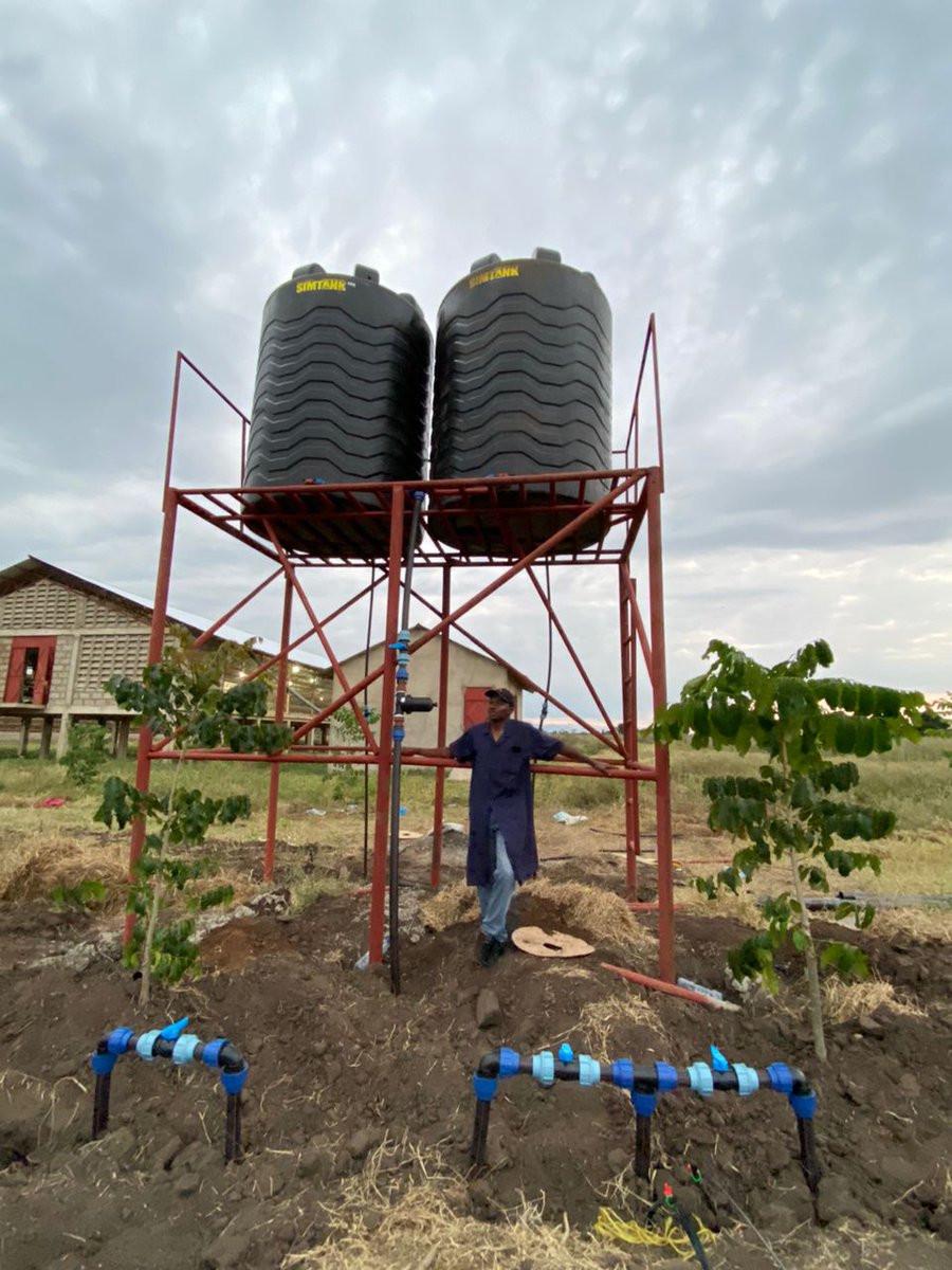 greenagrictz's tweet photo. 📍Morogoro 
On going drip irrigation installation https://t.co/VwqqTmO3VC