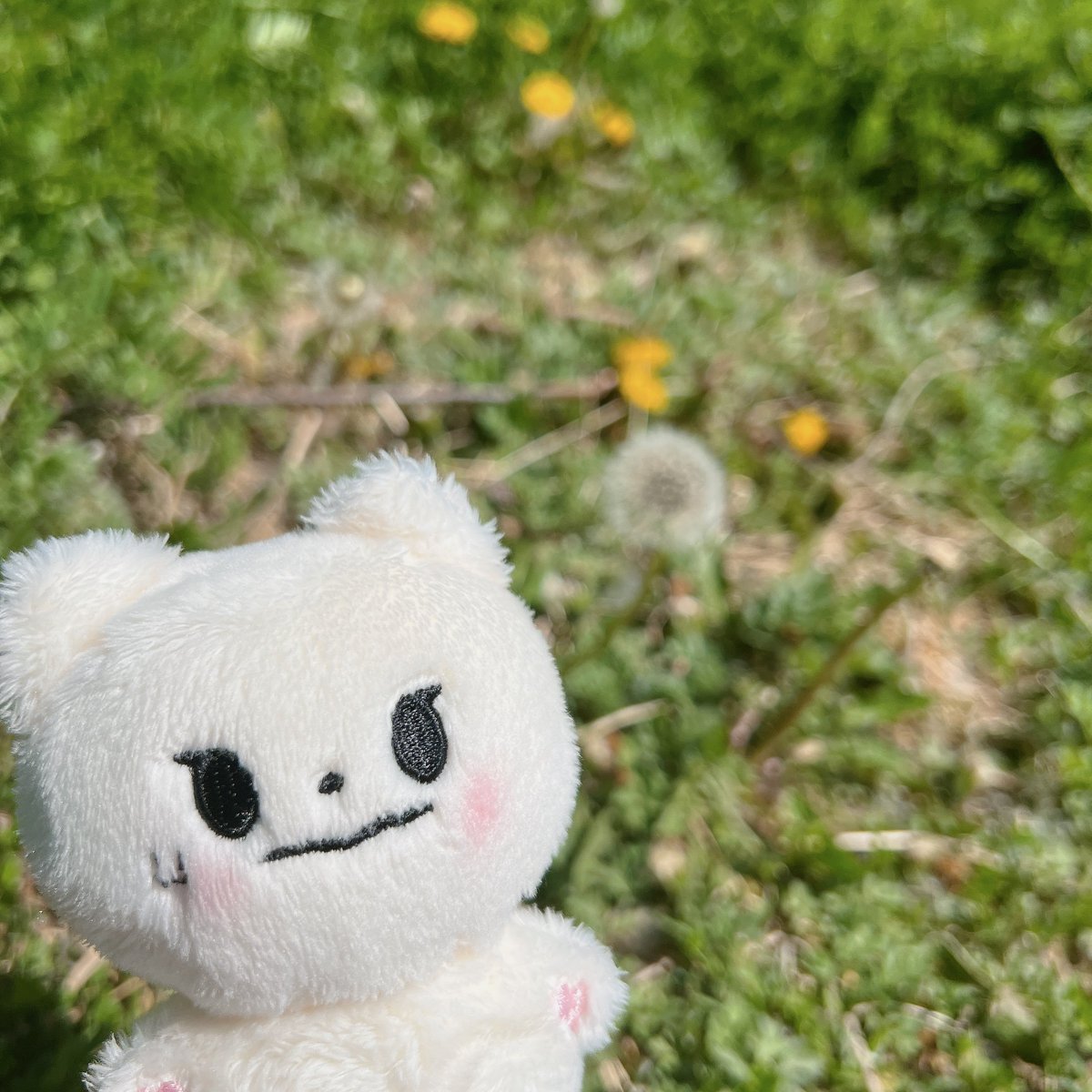 CloverMoonGO's tweet photo. [USA GO] - MoonNemo 10cm Doll by 
@luckymnemo

♡ Deadline: September 8, 12 PM PDT
♡ Cost: $16/doll
♡ 3 Payments: Goods, EMS, DMS

♡ Form: https://t.co/D79cp3Q0Wt

♡ Pls like/rt!

#ASTRO #MOONBIN #아스트로 #문빈 #文彬 #astrosale #astrowts #문네모 https://t.co/UUuDbDaJCH