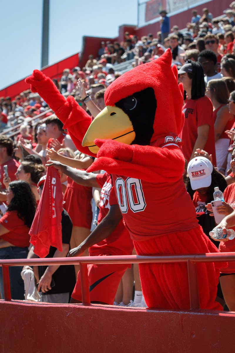 ReggieRedbird tweet picture