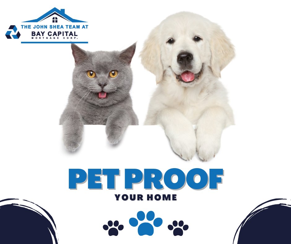 JohnMShea4's tweet photo. 🌟 Safeguard your home for your pets! 🏡 Install furniture straps, use cord holders, add bathroom locks, and set up window guards. 🐶👶 Enjoy peace of mind knowing your loved ones are protected. https://t.co/eiBCQMqGKn
