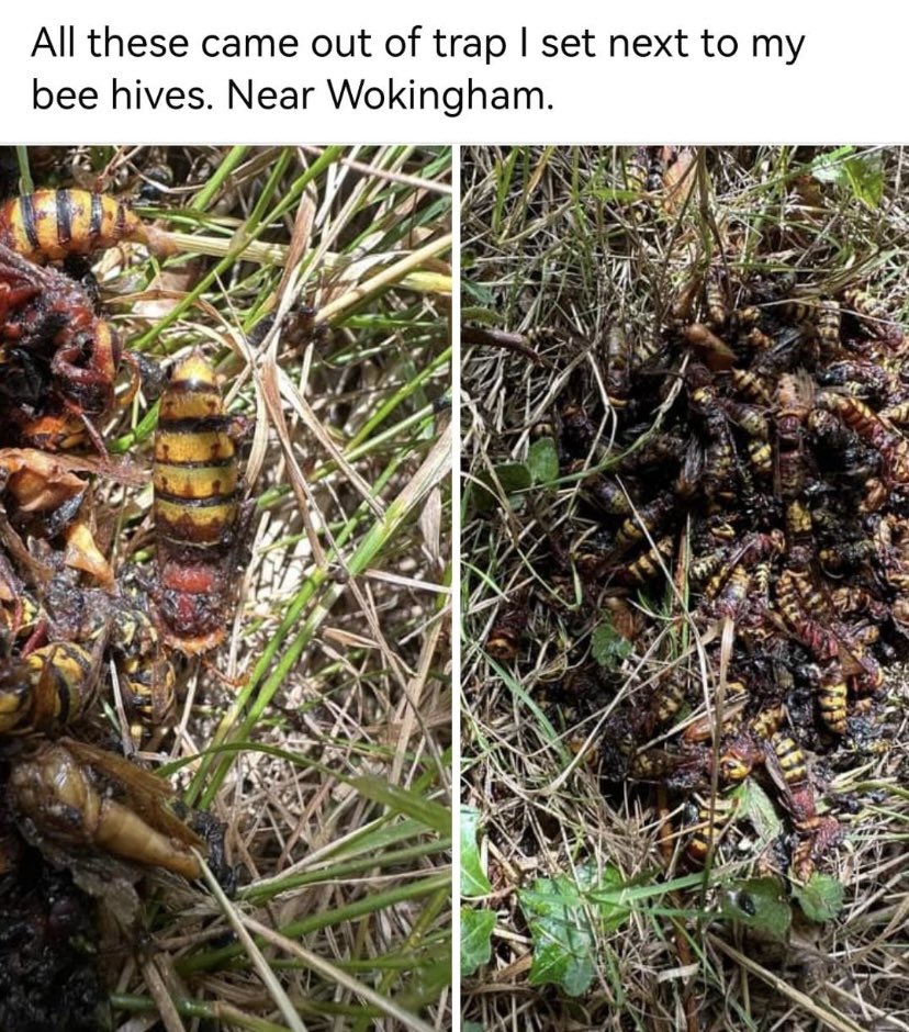 Api:Cultural tweet media