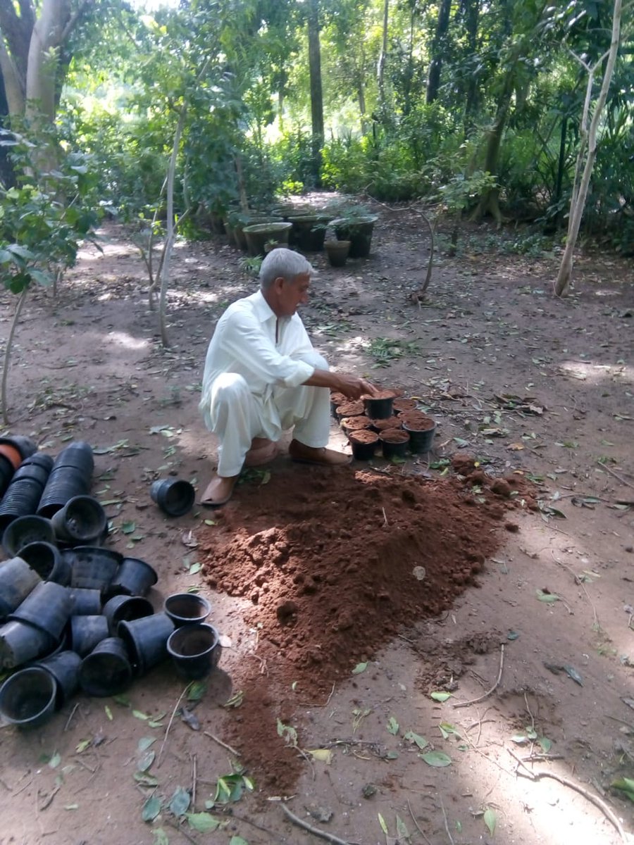 DG Environment CDA tweet media
