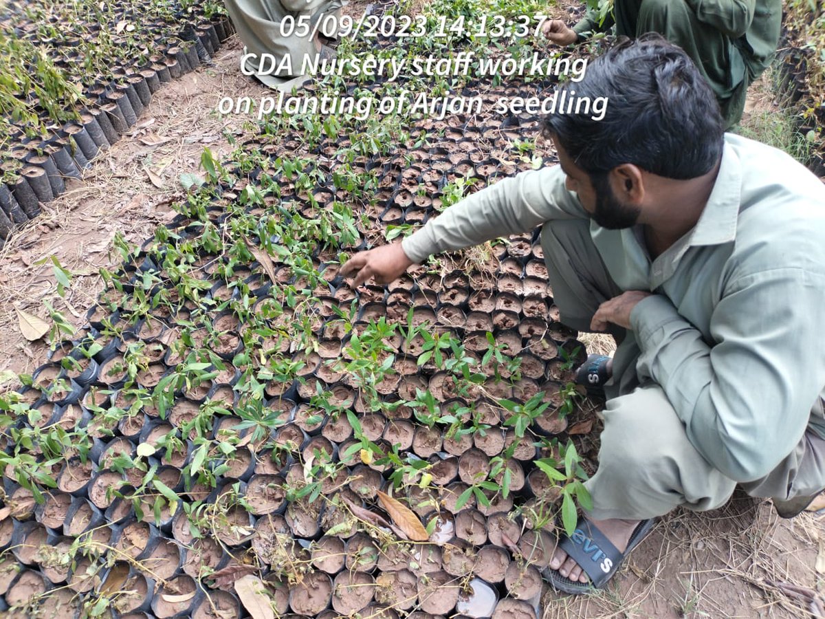 New plant pots, new beginnings. Let's make this season bloom with beauty and growth. 💚🌼 #CDA #GreenThumbs #sustainability