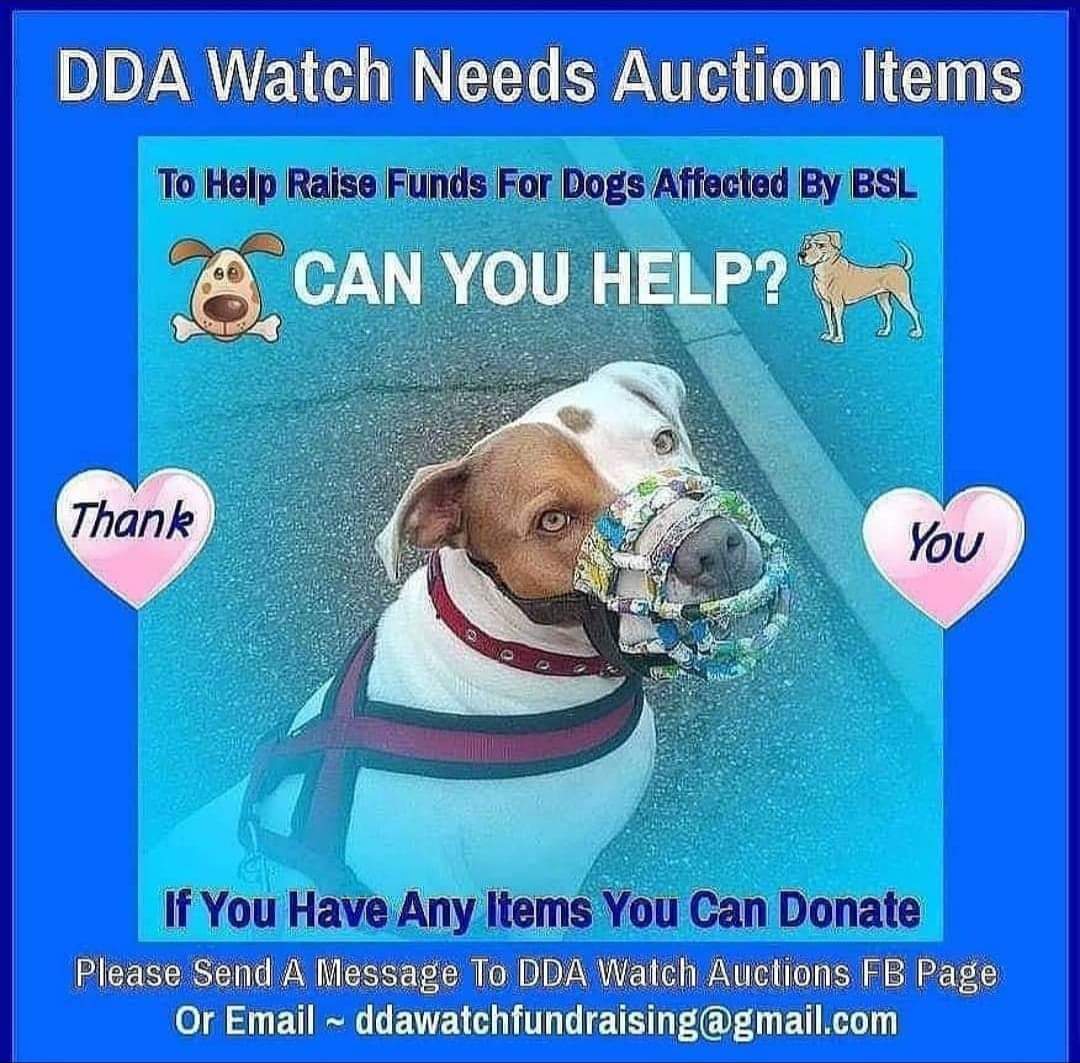 DDA Watch Auctions tweet media