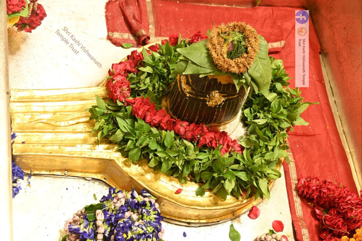 ShriVishwanath's tweet photo. आज दिनाँक 05-09-2023 को श्री काशी विश्वनाथ मंदिर के श्रृंगार आरती के दर्शन।  #ShriKashiVishwanath #Shiv #Mahadev #Baba #Temple #Darshan https://t.co/TsnP81NOED