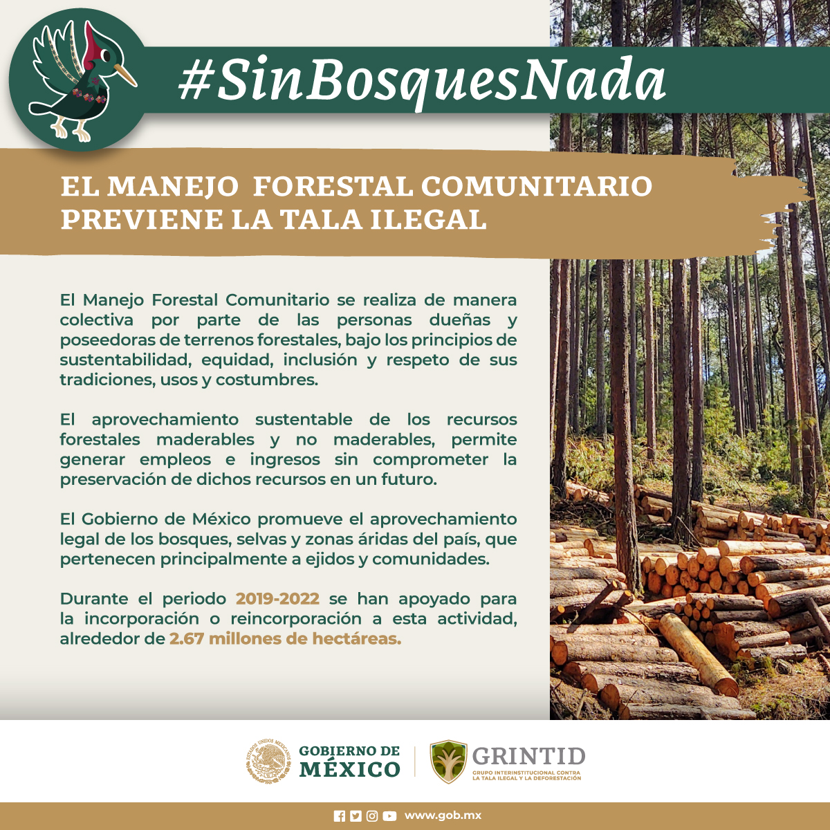 PROFEPA_Mx's tweet photo. 🍃🦌 Nuestra responsabilidad es garantizar la supervivencia de la flora y fauna en los bosques.
#SinBosquesNada🍃#GRINTID🌲🐿️ https://t.co/HiURHVC9Ko
