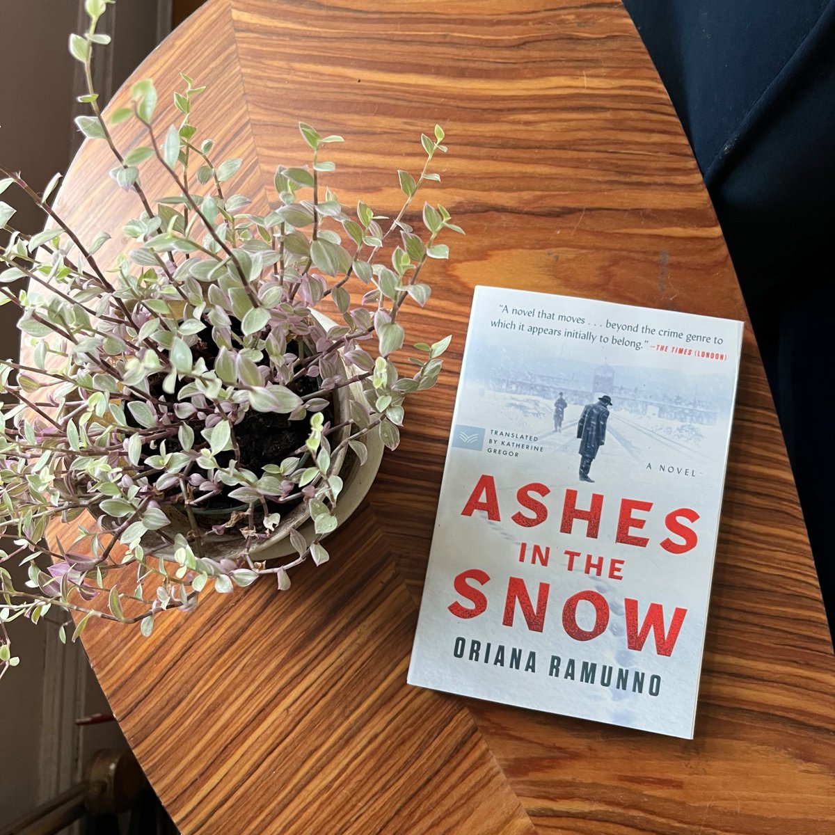 🎊 Happy publication day to ASHES IN THE SNOW by Oriana Ramunno (translated by Katherine Gregor)! Grab your copy today of the mystery that <a href="/PublishersWkly/">Publishers Weekly</a> raves as "the arrival of a major new voice in historical fiction."