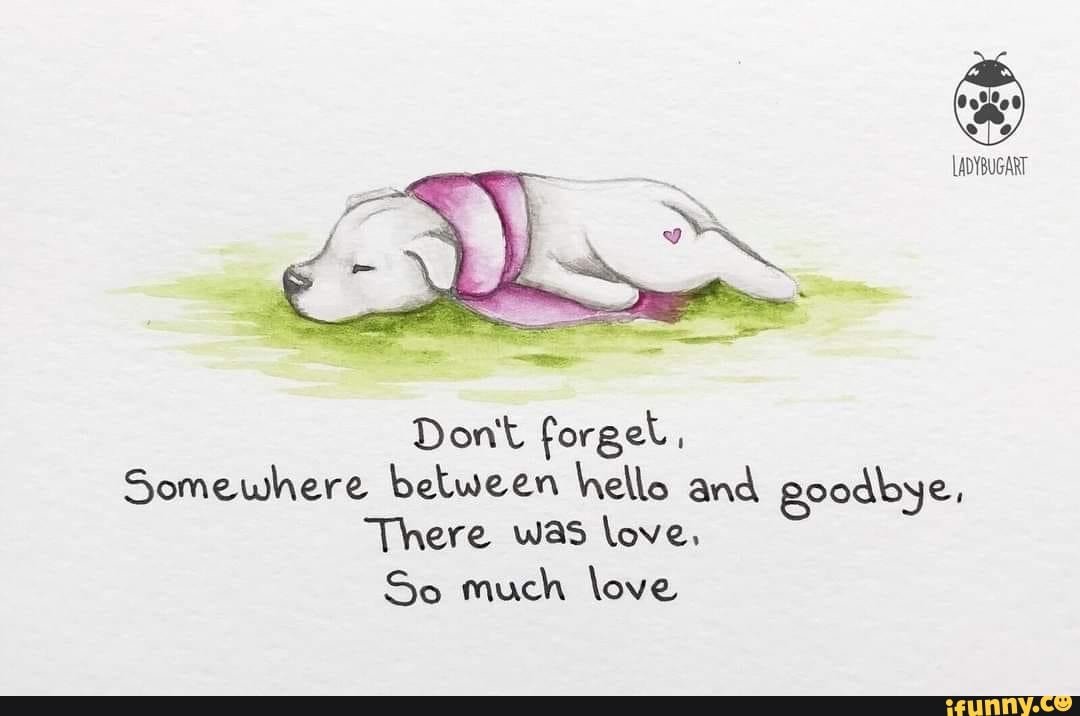 DennieCodes's tweet photo. @techgirl1908 I'm so sorry for your loss Angie. https://t.co/J6btUCG37B