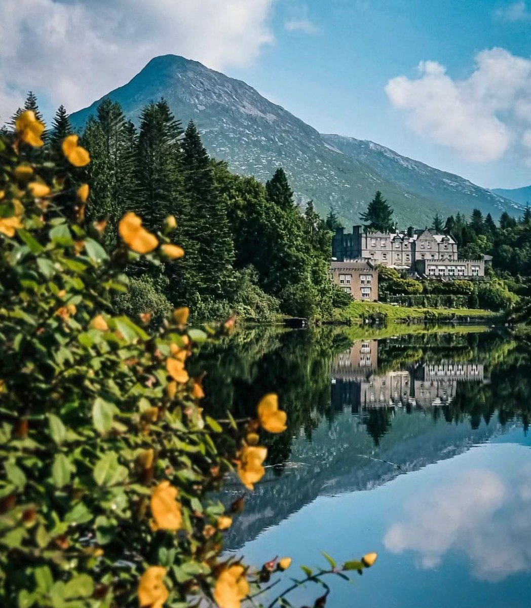 Ballynahinch Castle blooms in Connemara, Co. Galway 🏔️🌲🌼🌤️ #LoveGalway #WildAtlanticWay 📸ig/luistex