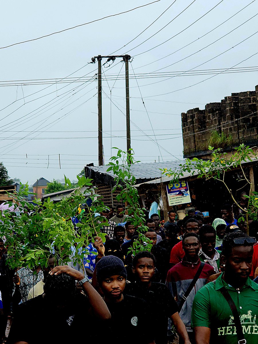 AauSug's tweet photo. DAY 4 PEACEFUL PROTEST 
Students of Ambrose Alli University came out In their numbers to show their dissatisfaction to the increased school fees.
#AAUSCHOOLFEESHIKE @MobilePunch @instablog9ja @vanguardngrnews @ruffydfire @SaharaReporters @ARISEtv https://t.co/YwrO0iUmdP