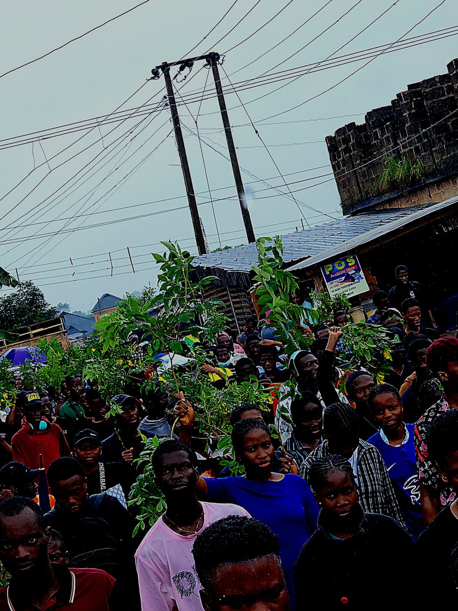 AauSug's tweet photo. DAY 4 PEACEFUL PROTEST 
Students of Ambrose Alli University came out In their numbers to show their dissatisfaction to the increased school fees.
#AAUSCHOOLFEESHIKE @MobilePunch @instablog9ja @vanguardngrnews @ruffydfire @SaharaReporters @ARISEtv https://t.co/YwrO0iUmdP