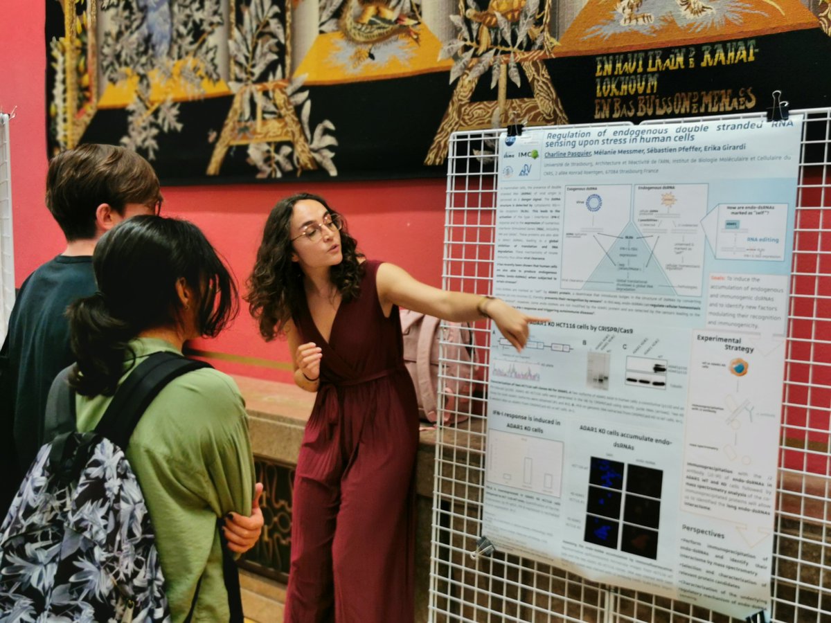 IMCBio Graduate School tweet media