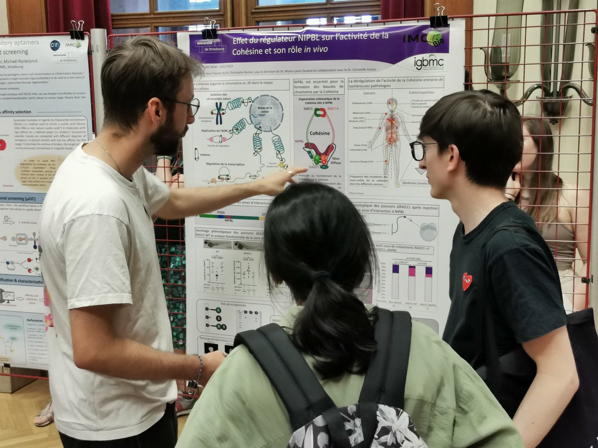 IMCBio Graduate School tweet media