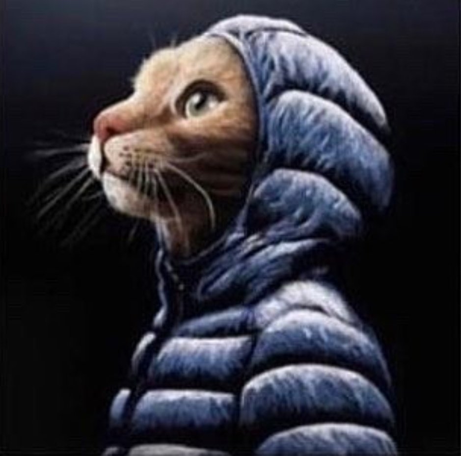 beenhamin17's tweet photo. Uso parka para parecerme a el https://t.co/ZEAWfqJgaB