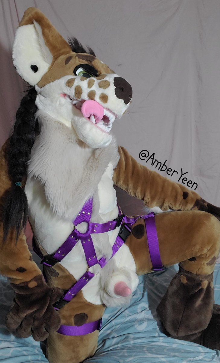 AmberQueenYeen tweet media