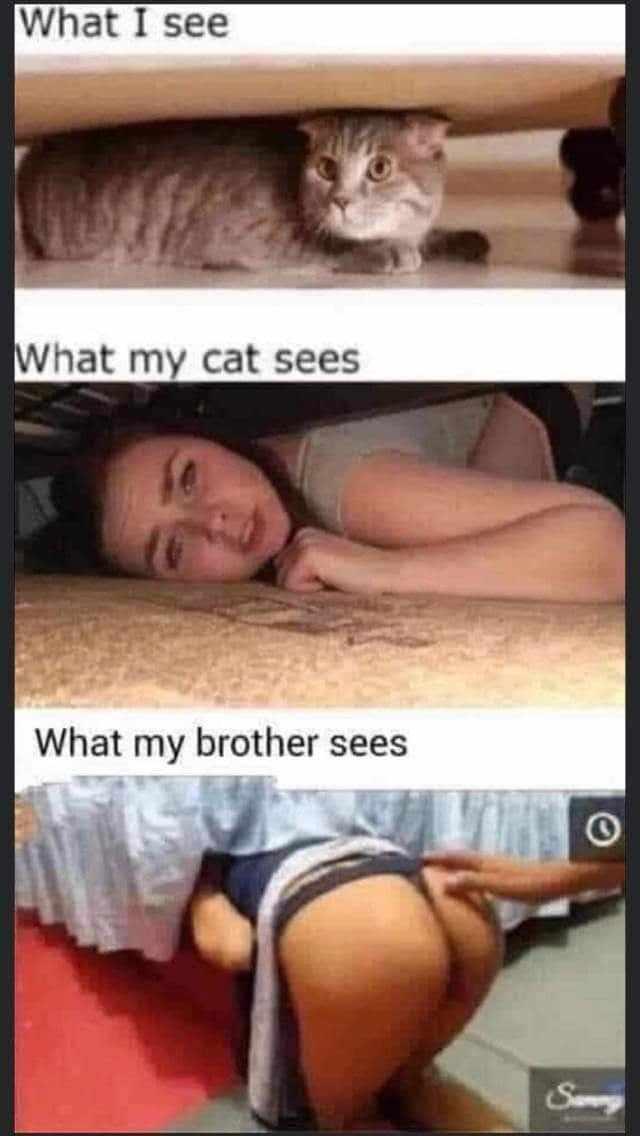 irefutabletruth's tweet image. I see you 👀 #love