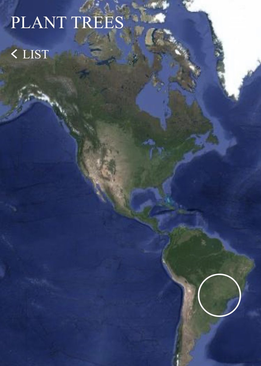 Ryuichi Sakamoto left us with the gift of music.

Let’s give a gift back to him by planting trees all over the world as he would have wanted.

You can plant trees via trees4skmt.org

<a href="/trees4skmt/">Trees for Sakamoto</a> 
<a href="/moretrees_JP/">一般社団法人more trees</a>