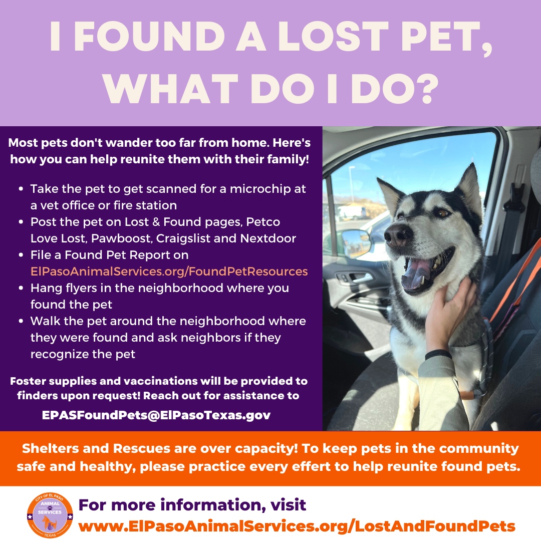 ElPasoAnimalSvc's tweet photo. Have you found a lost pet? Here’s how you can help 🐶🐱 
Studies show that up to 90% of lost pets are found within a mile of their home. Your quick action and efforts could mean the world to a lost pet and their family. https://t.co/64wriSRrNk