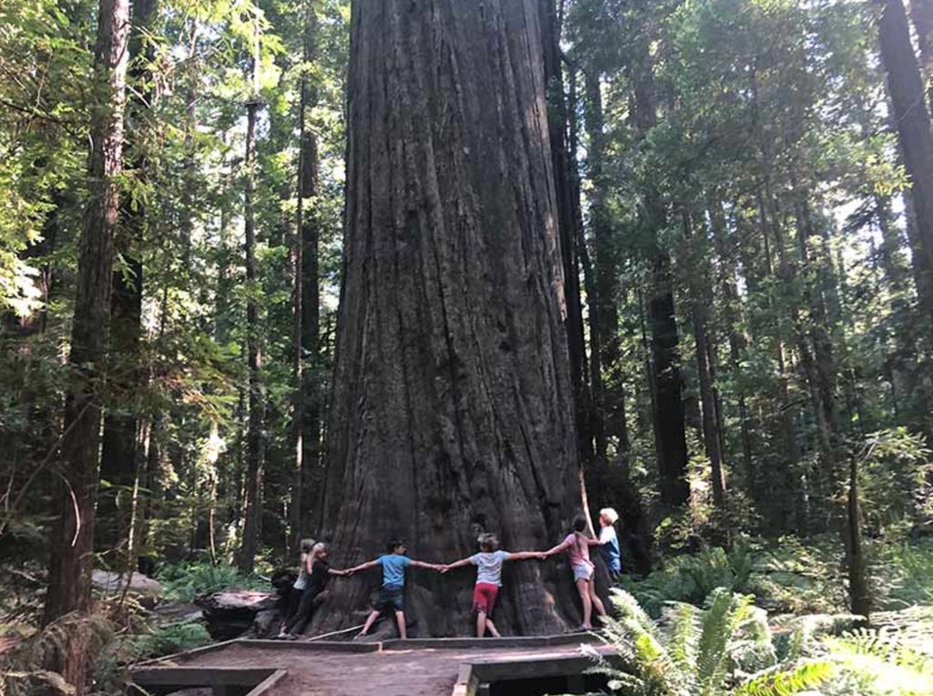 Crazy Family Adventure tweet media