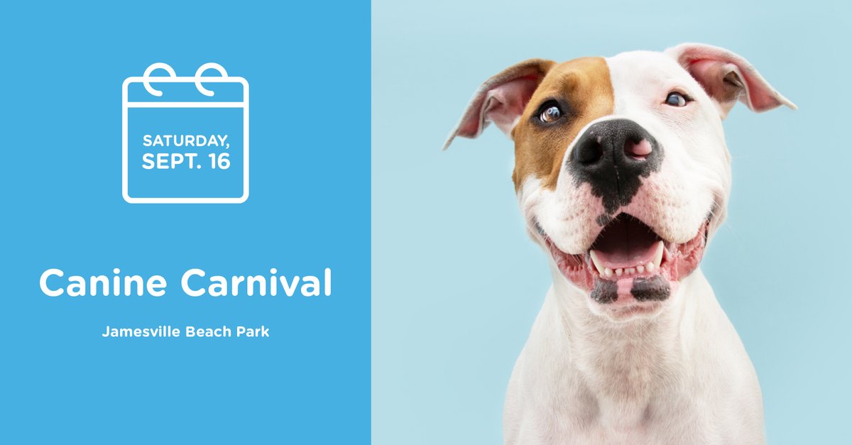 CNYFamilyTimes's tweet photo. Check out our editor's picks for September events: https://t.co/7xN3MhhqQT https://t.co/yQ0sXqGRfQ
