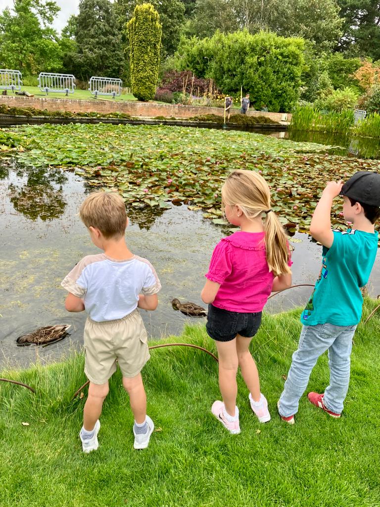 AdamJamesMoore2's tweet photo. @LarchwoodPS Grace, George &amp; Rowan at Hyde Hall after completing the trail #LarchwoodChallenge https://t.co/8r931OVW3R