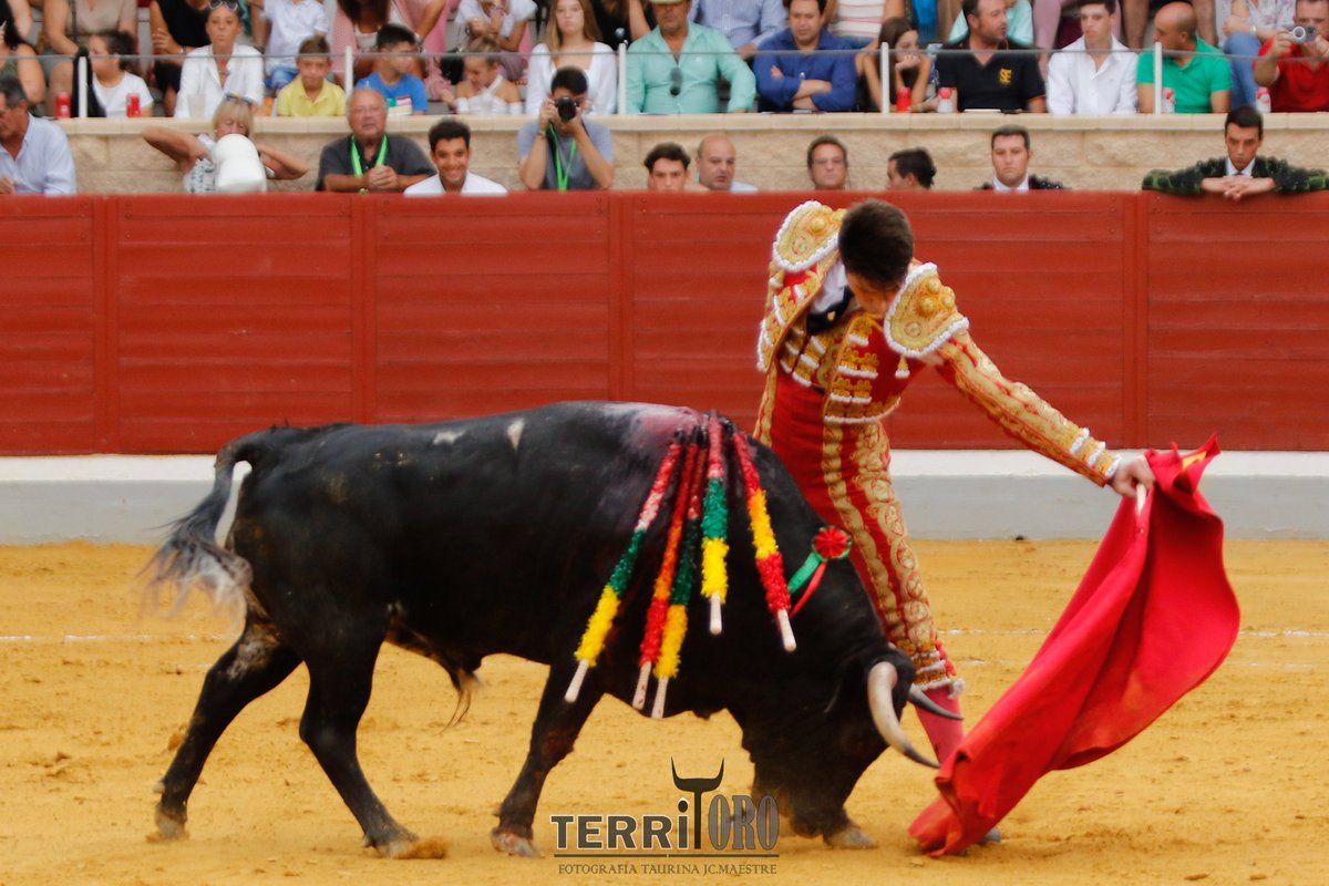 Mundillo Taurino (@mundillotaurino) on Twitter photo Ovación para Víctor Barroso en el cuarto.
<a href="/VictorB45763379/">Victor Barroso</a>
<a href="/Villasecatoros/">Villaseca dela Sagra</a>
<a href="/MundilloTaurino/">Mundillo Taurino</a>
<a href="/MAESTREJc/">JUAN CARLOS MAESTRE-TERRITORO</a>
<a href="/HrosCebadaGago/">Hros. de Cebada Gago</a>
#villasecadelasagra
#alfarerodeoro
#torosvillaseca Ovación para Víctor Barroso en el cuarto.
<a href="/VictorB45763379/">Victor Barroso</a>
<a href="/Villasecatoros/">Villaseca dela Sagra</a>
<a href="/MundilloTaurino/">Mundillo Taurino</a>
<a href="/MAESTREJc/">JUAN CARLOS MAESTRE-TERRITORO</a>
<a href="/HrosCebadaGago/">Hros. de Cebada Gago</a>
#villasecadelasagra
#alfarerodeoro
#torosvillaseca