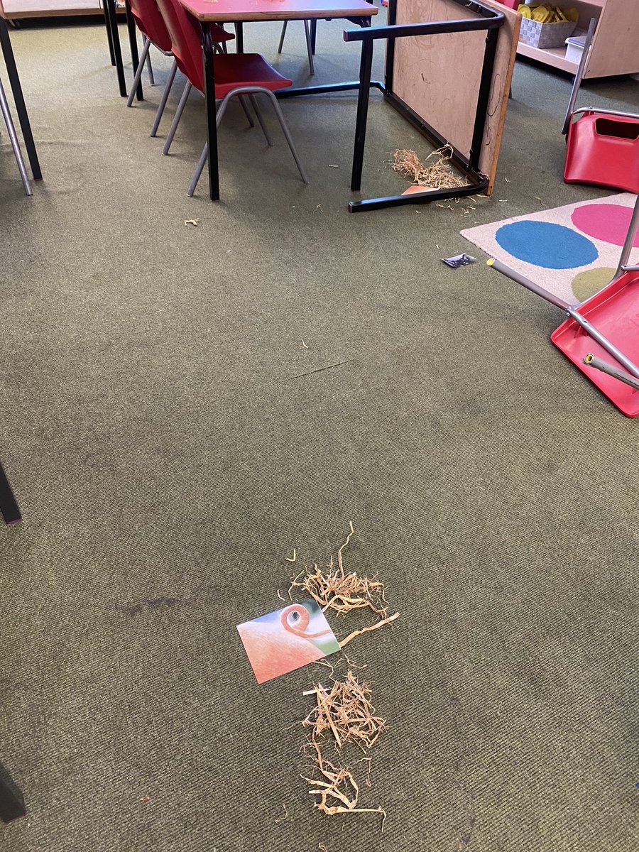 Today we were investigators! Someone came and trashed our class room during assembly👀 we looked for clues and evidence 🔎 to handover to the police for a further investigation to catch this criminal! Who could it be?🤔