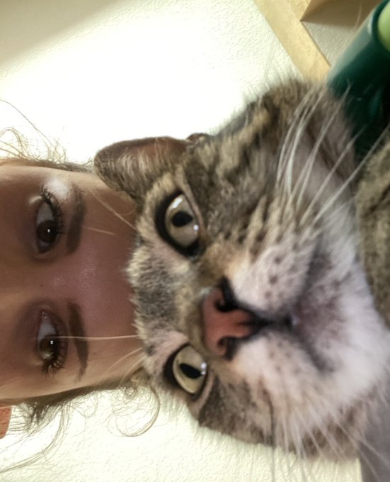Today is fritter&rsquo;s birthday. She&rsquo;s 10 💝 if u want to send her gifts https://t.co/N5UALyiy7C or Venmo