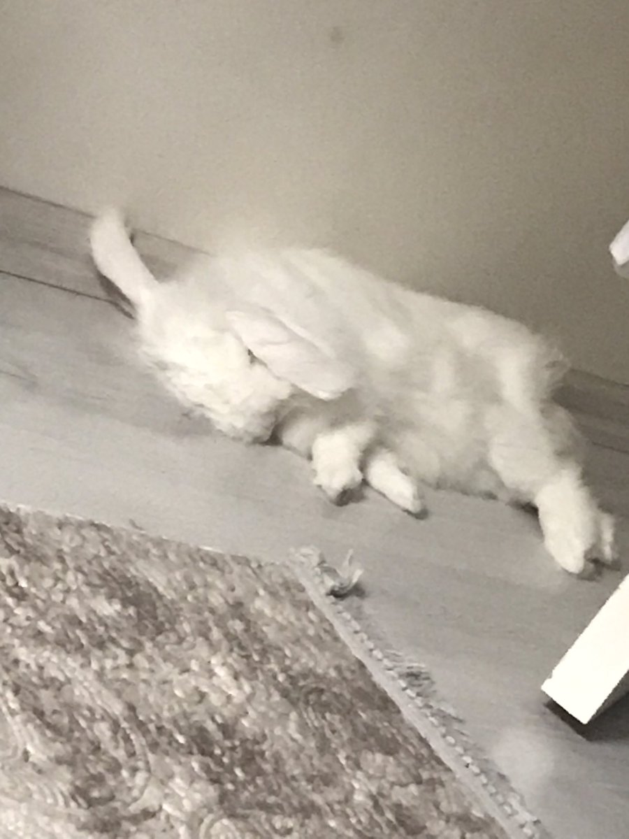 Benim bebeğim bebekler gibi uyuyor