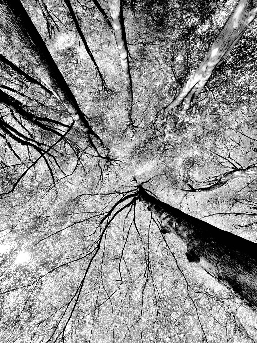 🔳🔲

#nft #nfts #abstractphotography #swipnow #abstractart #photography #art #abstractphoto #fineartphotography #contemporaryart #minimal  #contemporaryphotography #artphotography #abstractexpressionism #experimentalphotography #photooftheday #photo #abstraction #abstractartist