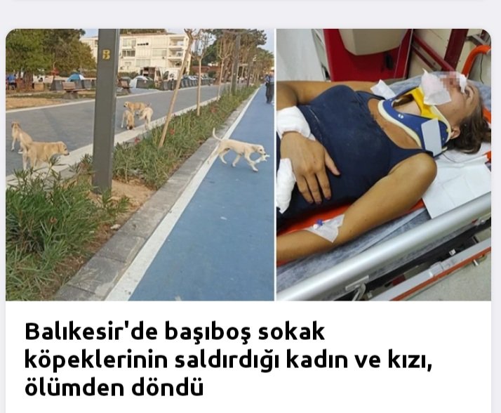 Balıkesir'in Erdek ilçesinde başıboş sokak köpeklerinin saldırısına uğrayan kadın ve kızı scooterdan düştü.Tatilinin zehir olduğunu söyleyen kadın hastanede tedavi altına alınırken yetkililerden şikayetçi olacağını söyledi. <a href="/RTErdogan/">Recep Tayyip Erdoğan</a> <a href="/AliYerlikaya/">Ali Yerlikaya</a> <a href="/dbdevletbahceli/">Devlet Bahçeli</a>