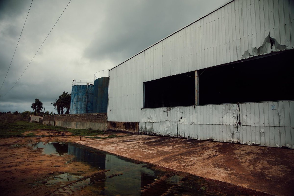 emmanuelito110's tweet photo. La pêche pratiquée par les chalutiers industriels étrangers (légalement et illégalement) ainsi que l'usine de farine de poisson Nessim contribuent au problème de la surpêche, ce qui a un impact négatif sur les droits humains des habitants de Sanyang.
#acw23 
#ClimateActionNow https://t.co/TJlyZ6Fijz