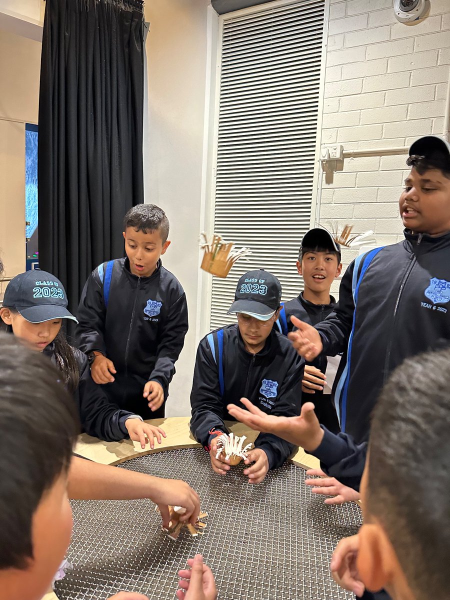 Matthew Pearce PS tweet media