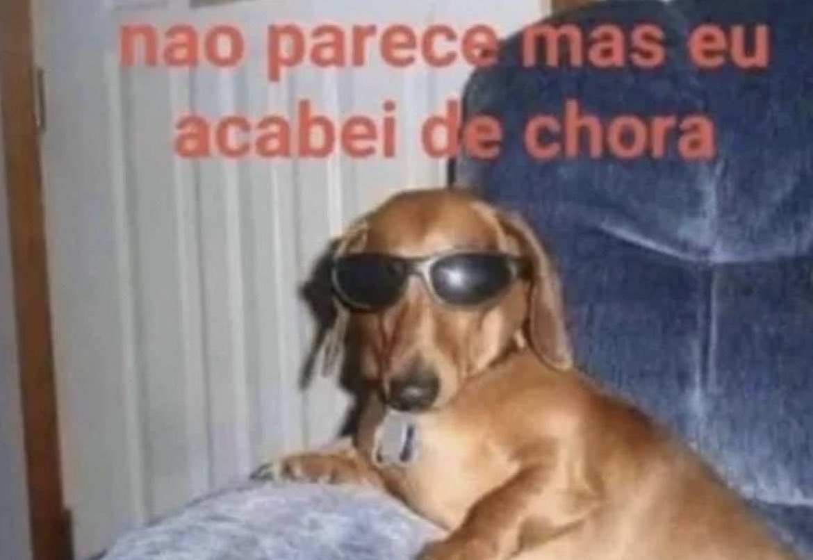 memes estranhos tweet media