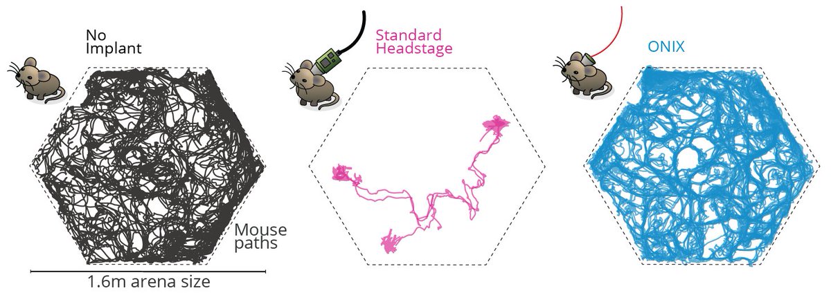 Open Ephys https://bsky.app/profile/openephys.bsky tweet media