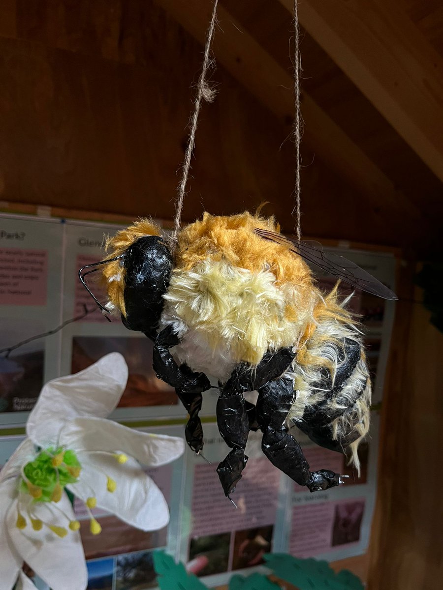 Glenveagh_NP's tweet photo. MTU intern update!

'Hi. It's Áine and I'm back one final time to update you on how my internship has gone at Glenveagh National Park. Since my last update I have gone on many adventures, creating displays and have learned so much. https://t.co/9Pm0h3sj1n