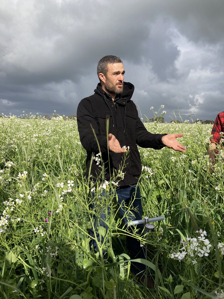 Amy Williams tweet media