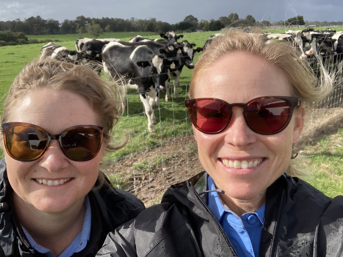 Amy Williams tweet media