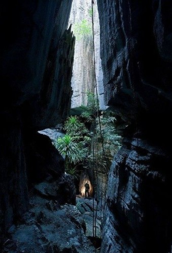 XInfonews's tweet photo. Le Parc national Tsingy de Bemaraha
C'est l'une des merveilles naturelles les plus extraordinaires de Madagascar. Situé dans la région de Menabe, dans l'ouest de Madagascar, ce parc national est célèbre pour ses formations géologiques uniques, appelées "tsingy", qui sont constituées de pics calcaires pointus et tranchants, créant un paysage véritablement spectaculaire et presque irréel.
Il y a des formations géologiques nommées les "tsingy" qui se sont formés il y a des millions d'années par l'érosion de la roche calcaire, créant ainsi des pics acérés, des grottes et des fissures. Le terme "tsingy" signifie littéralement "marcher sur la pointe des pieds" en malgache, ce qui décrit parfaitement la sensation de marcher sur ces formations rocheuses tranchantes. Les visiteurs du parc national Tsingy de Bemaraha ont la possibilité de faire de la randonnée et de l'escalade pour explorer les formations tsingy. Cependant, en raison de leur caractère tranchant et dangereux, il est nécessaire de suivre des sentiers balisés et d'être accompagné par des guides locaux expérimentés. Les tsingy sont vulnérables aux activités humaines et à l'érosion. Des mesures sont prises pour protéger cet environnement unique et préserver sa biodiversité.
En raison de sa valeu r géologique et de sa biodiversité exceptionnelle, le Parc national Tsingy de Bemaraha a été désigné site du patrimoine mondial de l'UNESCO en 1990. Cela a contribué à sa préservation en tant que réserve naturelle précieuse.
Outre ses formations rocheuses fascinantes, le parc abrite également une variété de faune et de flore uniques, notamment des espèces de lémuriens, des oiseaux rares, des reptiles et des plantes endémiques. Vous pouvez également trouver des espèces menacées, telles que le lémurien Verreaux's sifaka.
Le Parc national Tsingy de Bemaraha est un trésor naturel unique au monde, avec ses formations géologiques étonnantes et sa biodiversité exceptionnelle. C'est un endroit idéal pour les amateurs de nature et d'aventure qui souhaitent explorer un paysage vraiment hors du commun.