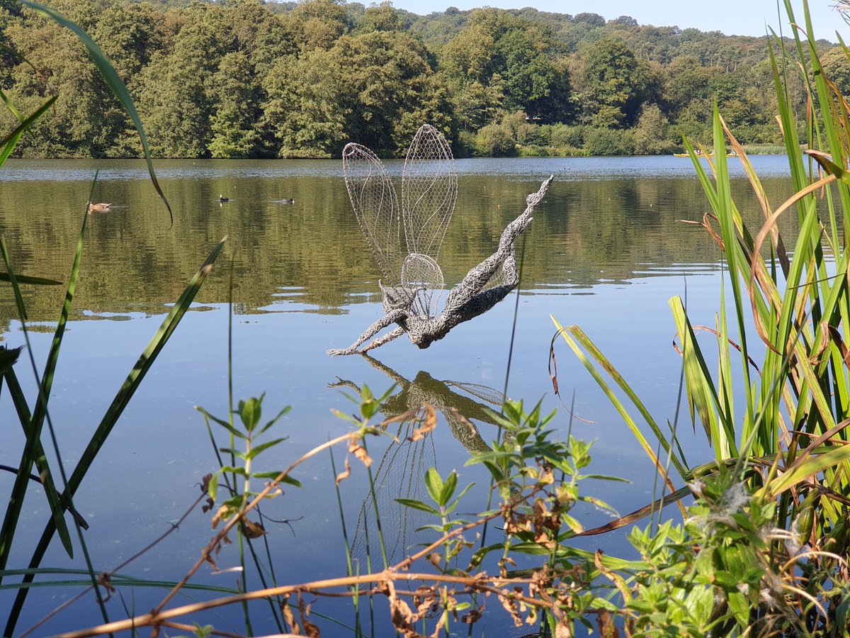 Woodpecker50's tweet photo. Another beautiful morning at Trentham Gardens. Blue sky and sunshine, meke the most of it while it lasts π
#TrenthamEstate #TrenthamGardens #FantasyWire https://t.co/2EUKo4Kgwu