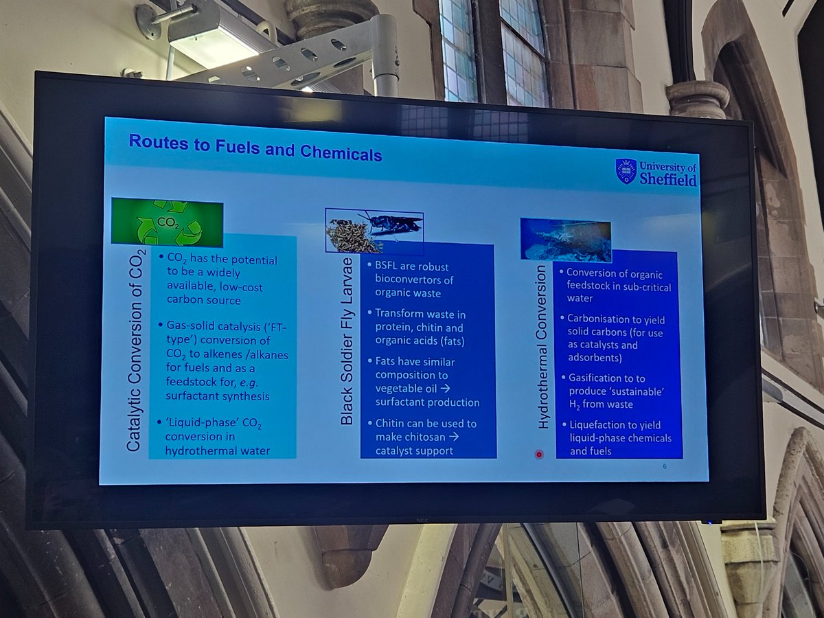 From Kansas-facts with Pt-MOx/TiO2 catalysts to black soldier fly larvae and hydrothermal conversion (courtesy of James MacGregor!) at the Professor David Jackson meeting.

The range of industrial and academic catalysis work being showcased is brilliant!

<a href="/UofGChem/">School of Chemistry, University of Glasgow</a>