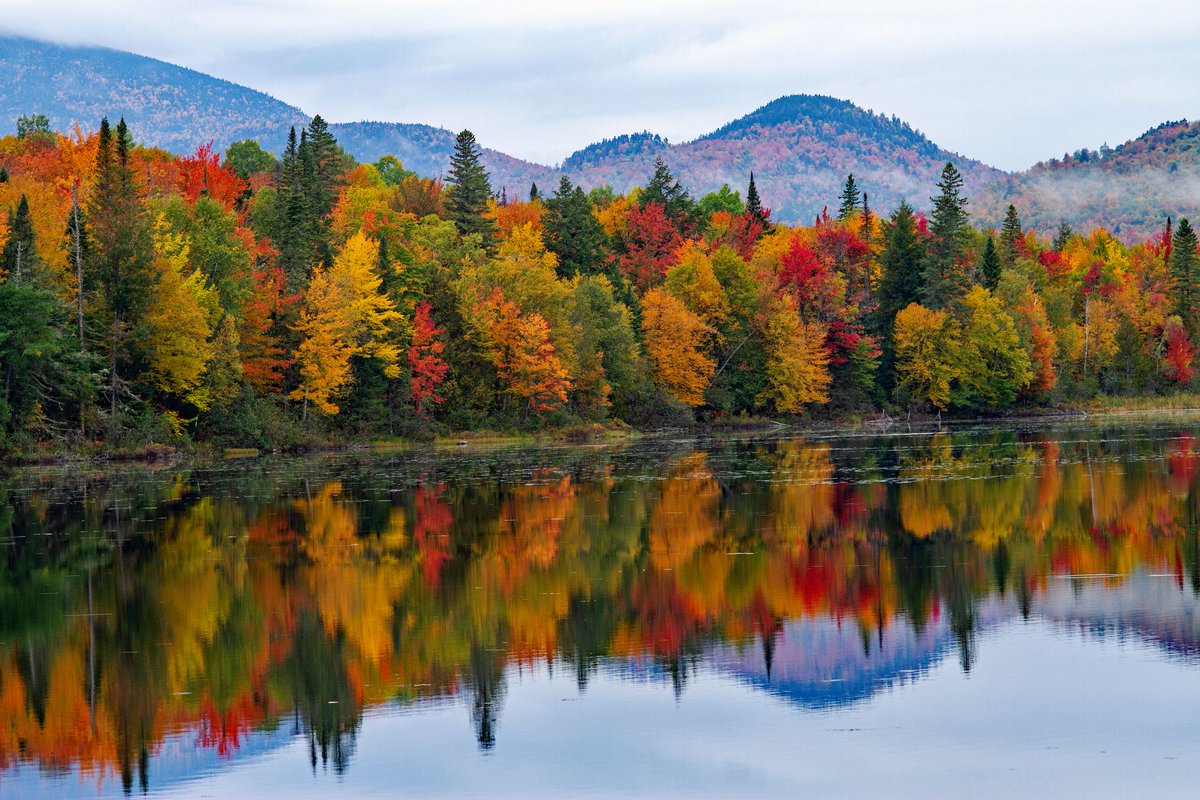 EngineersClub's tweet photo. As a member of The Engineers Club, you have access to other clubs across the US. **For current members** Heading north to enjoy the fall foliage? Enjoy the club environment you enjoy here, in VT, ME, NH, RI, &amp; CT. Make reservations. Then experience good food &amp; good times. https://t.co/ylLKESYgZi